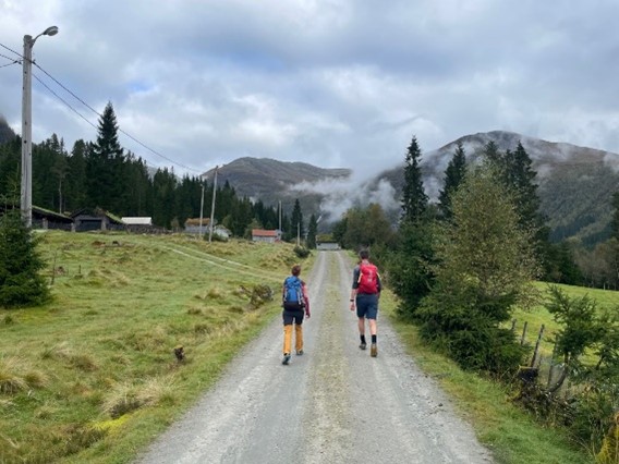 Årdalsdalen. Foto.